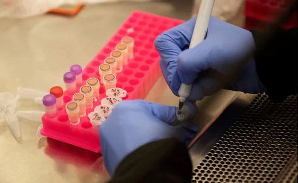 করোনাভাইরাস