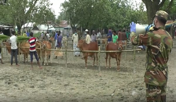 পশুর হাট