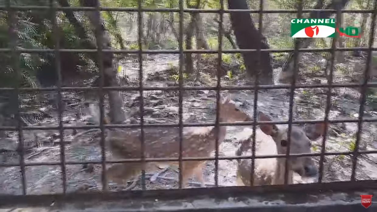 টেংরাগিরি বন্যপ্রাণী অভয়ারণ্য