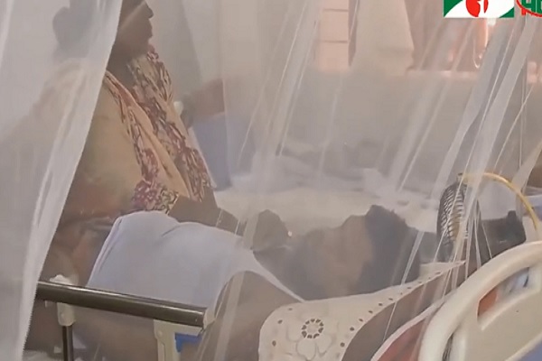 ডেঙ্গু