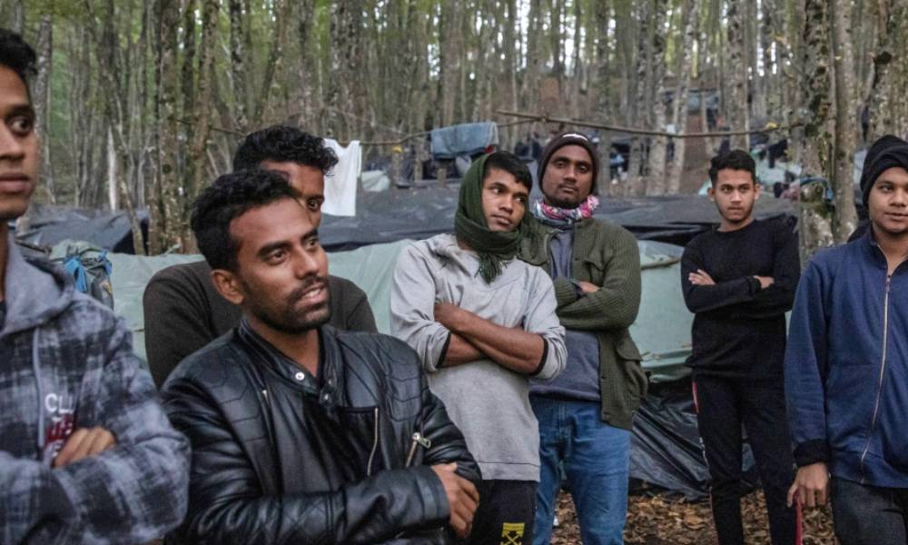 পূর্ব ইউরোপের জঙ্গলে অভিবাসন প্রত্যাশী বাংলাদেশি