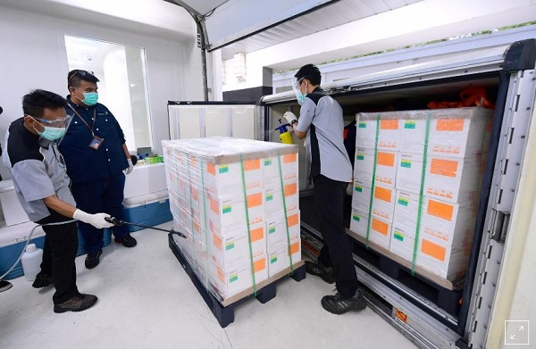 সিনোভ্যাক