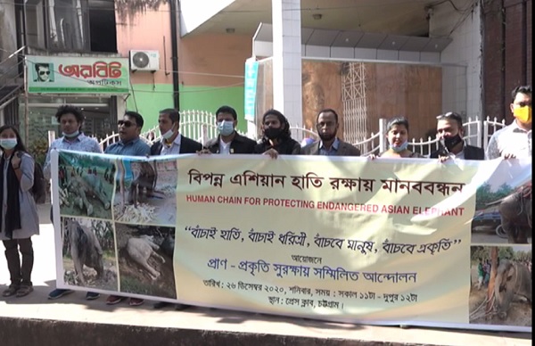 বন্যহাতি