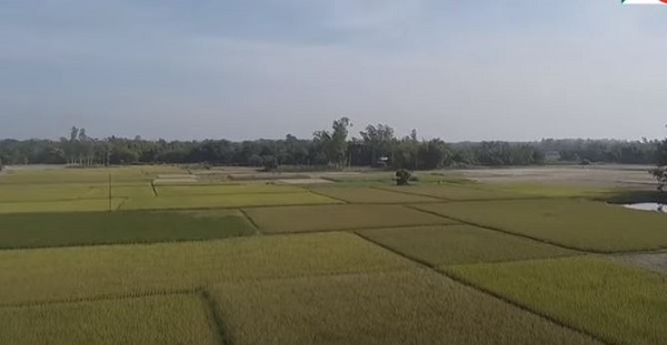 মৃত্তিকা
