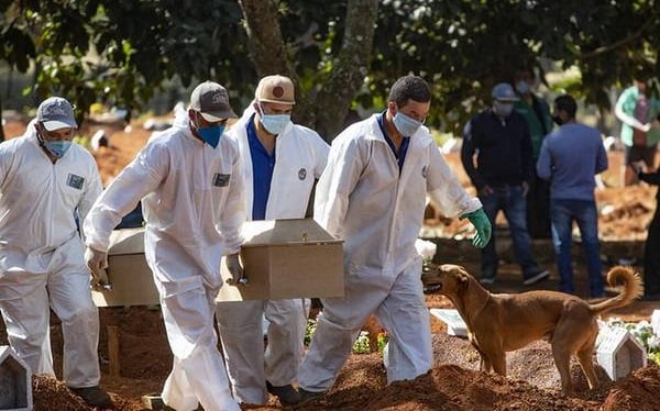 করোনাভাইরাস