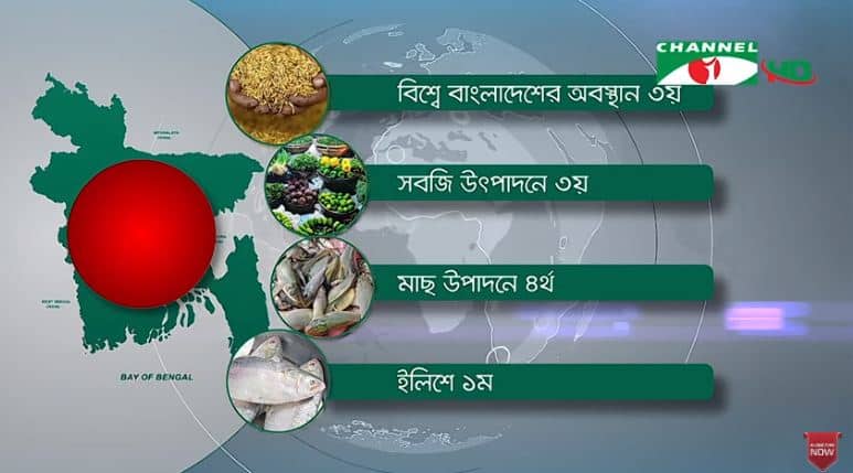 বাংলাদেশের কৃষি, মাছ ও ফলের উৎপাদনের তথ্য দেখাচ্ছে চ্যানেল আই. Channel i News - চ্যানেল আই নিউজ