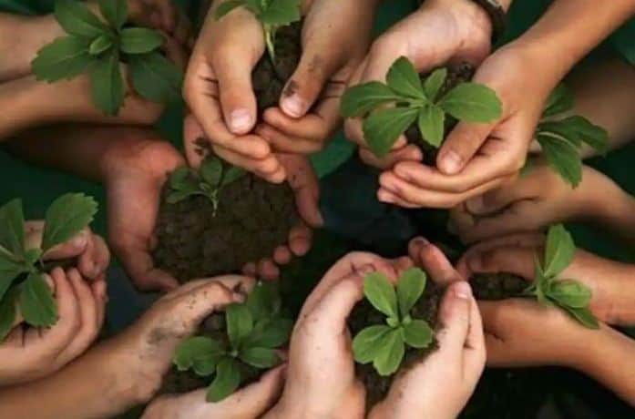 বিভিন্ন হাতের মাধ্যমে গাছের চারা রোপণ করা হচ্ছে. Channel i News - চ্যানেল আই নিউজ