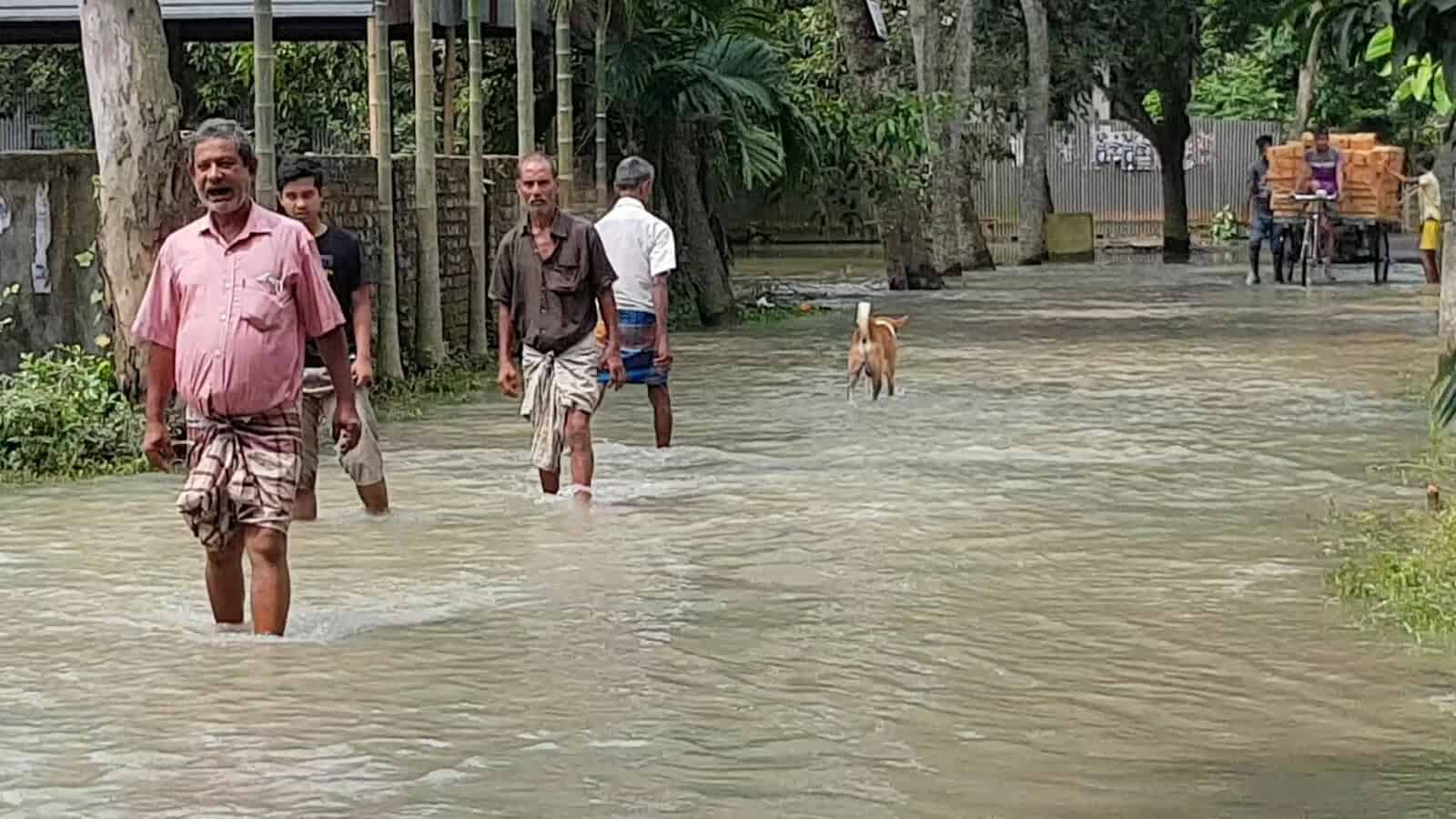 টাঙ্গাইলে বন্যা পরিস্থিতির অবনতি, মানুষ পানিতে হাঁটছেন. Channel i News - চ্যানেল আই নিউজ