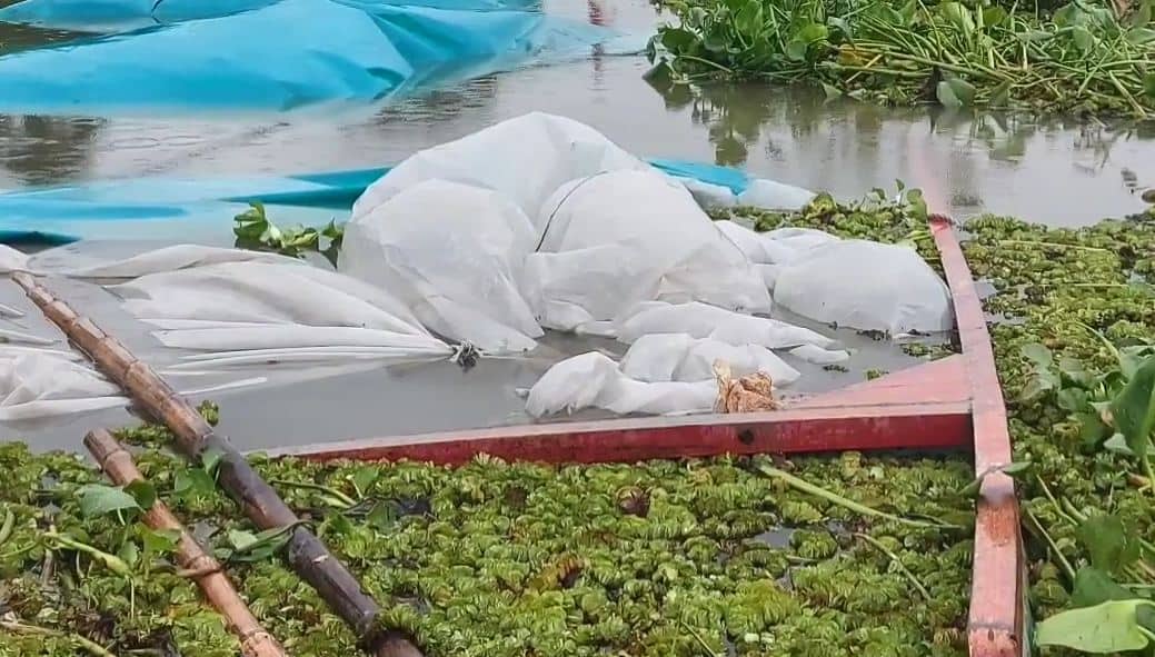 চাঁদপুরে সিমেন্টবোঝাই কার্গোডুবির দৃশ্য, জলাবদ্ধতা ও ক্ষতিগ্রস্ত নৌযান. Channel i News - চ্যানেল আই নিউজ