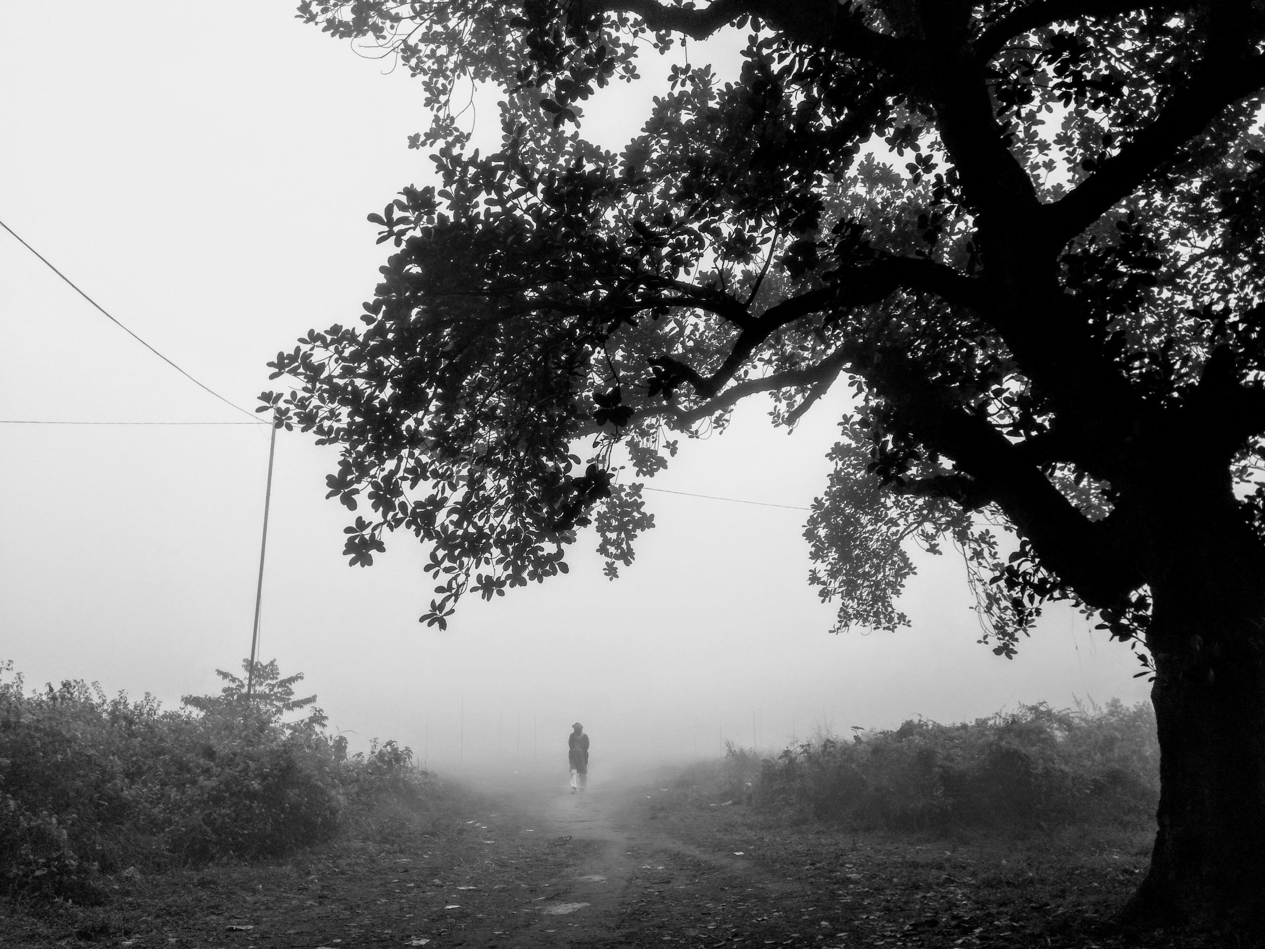 শীতের সকাল