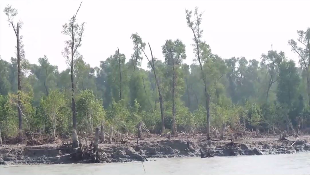 টেংরাগিরি বন