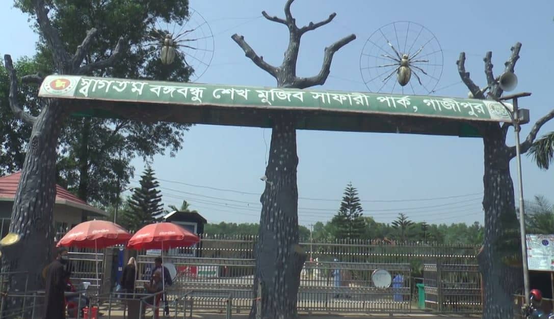 বঙ্গবন্ধু সাফারি পার্কের প্রবেশদ্বার, গাছের শাখা ও দর্শনার্থীরা. Channel i News - চ্যানেল আই নিউজ