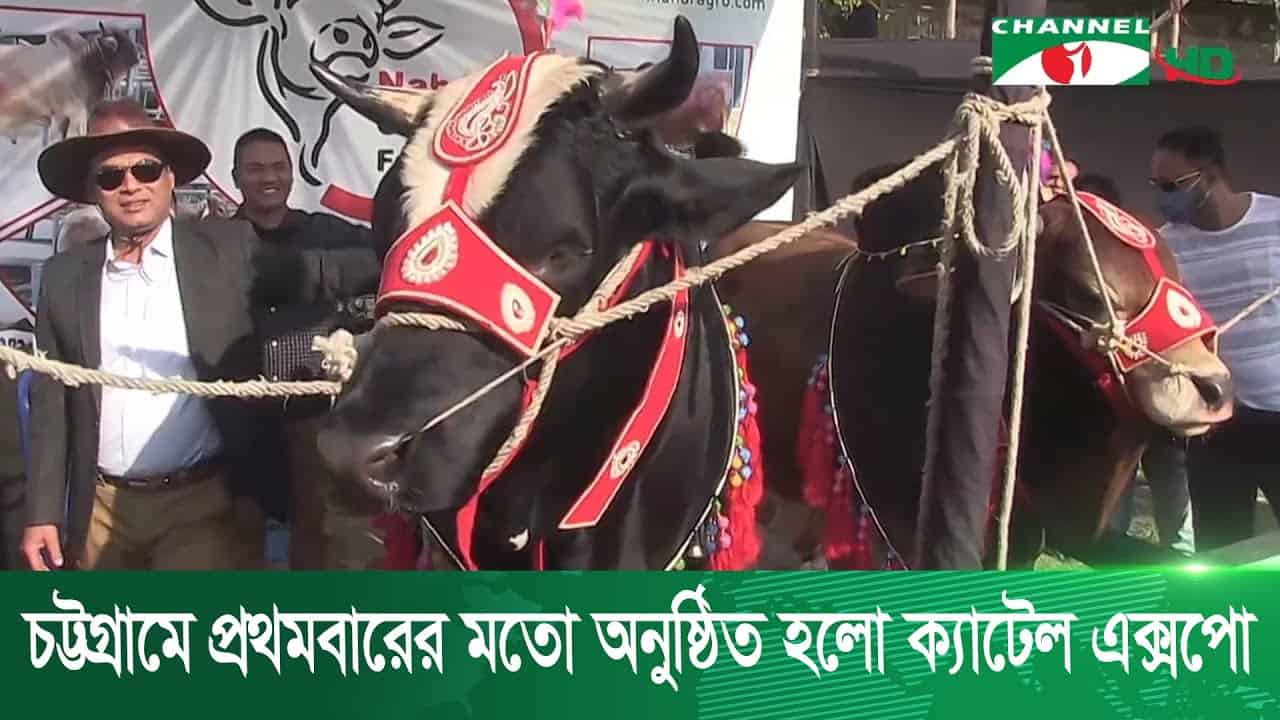 চট্টগ্রামে প্রথমবারের মতো ক্যাটেল এক্সপো অনুষ্ঠিত, গবাদি পশু প্রদর্শনী. Channel i News - চ্যানেল আই নিউজ
