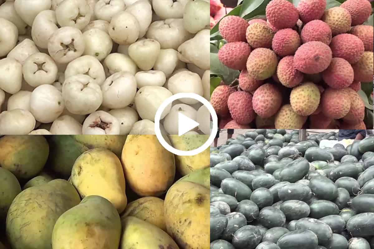 বাংলাদেশে মৌসুম শুরু হলেও দেশি ফলের বাজারে অভাব দেখা গেছে।. Channel i News - চ্যানেল আই নিউজ