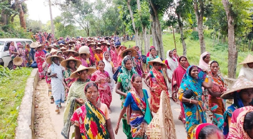 সিলেট চা বাগান