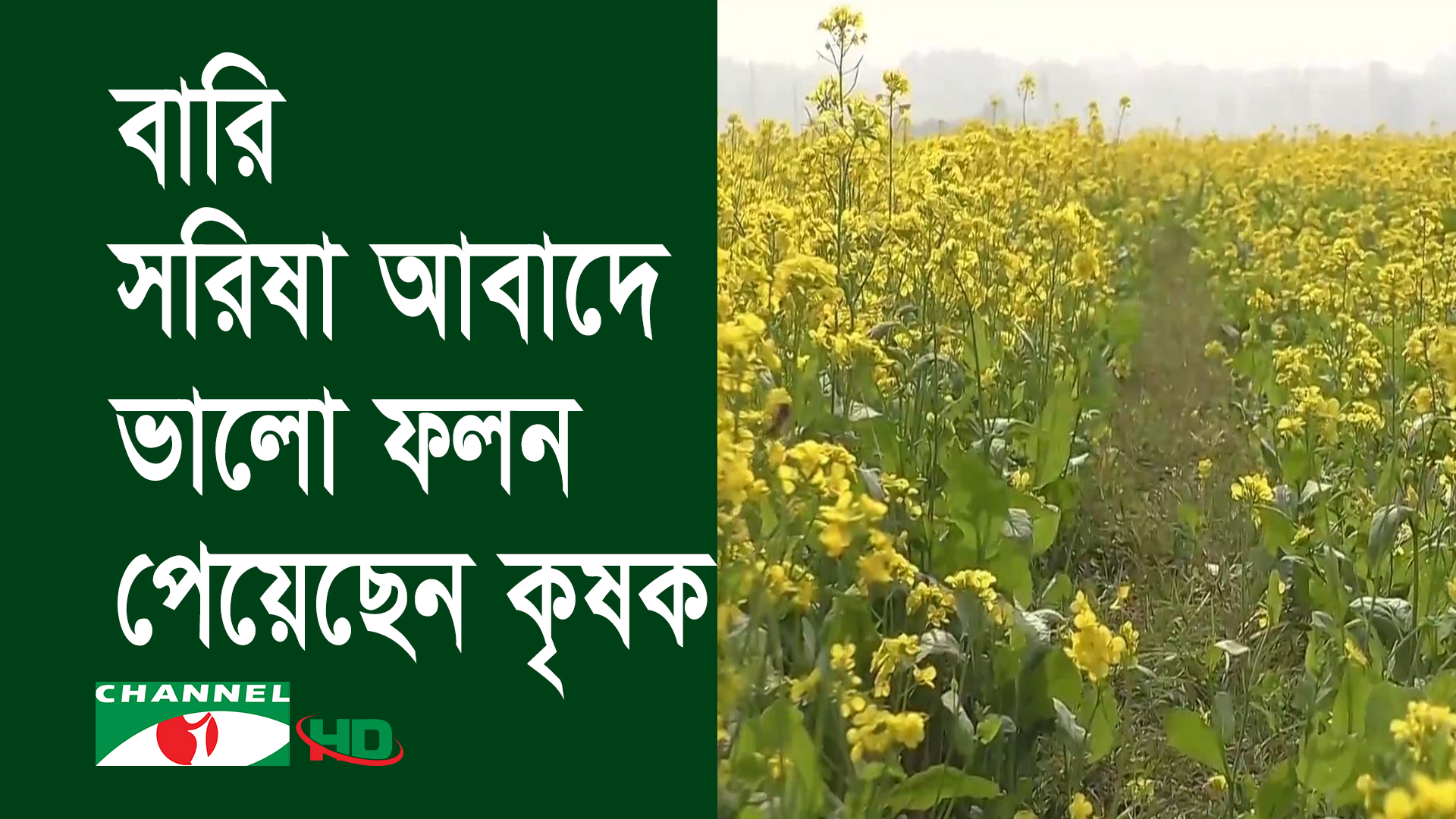 নড়াইল