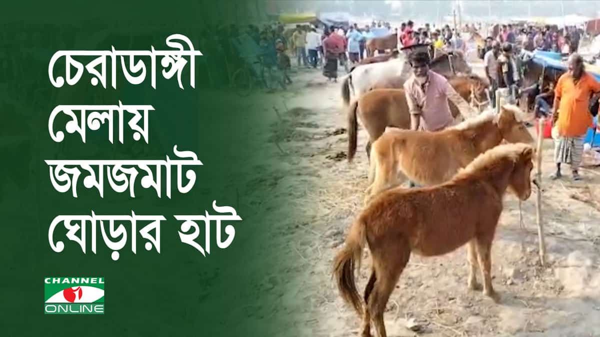 চেরাডাঙ্গী মেলায় জমজমাট ঘোড়ার হাটের দৃশ্য. Channel i News - চ্যানেল আই নিউজ