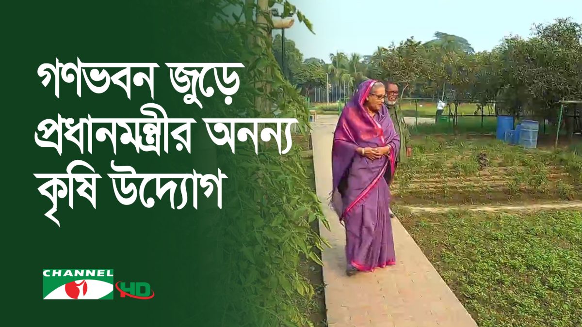 কৃষিবান্ধব প্রধানমন্ত্রী গণভবনে ফলিয়েছেন ফুল-ফসল-শাকসবজি