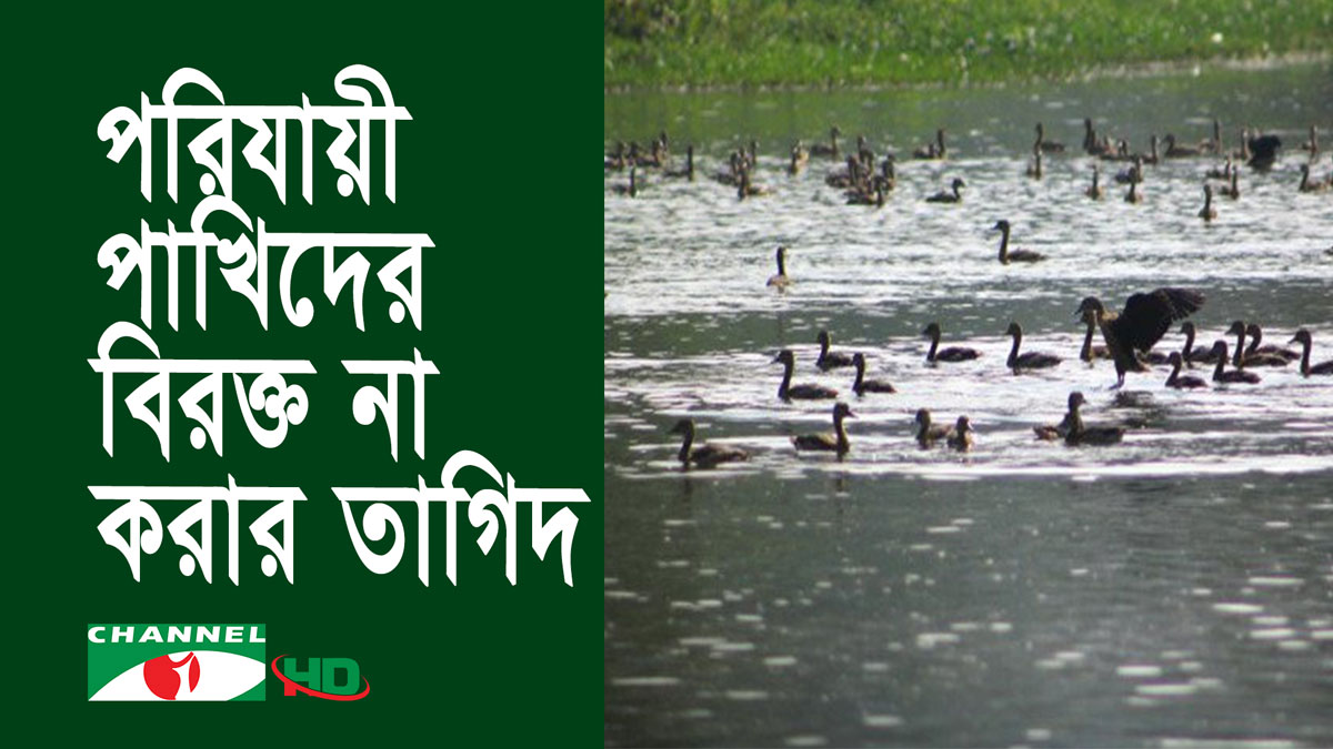 জাহাঙ্গীরনগর বিশ্ববিদ্যালয়ে পাখি মেলা