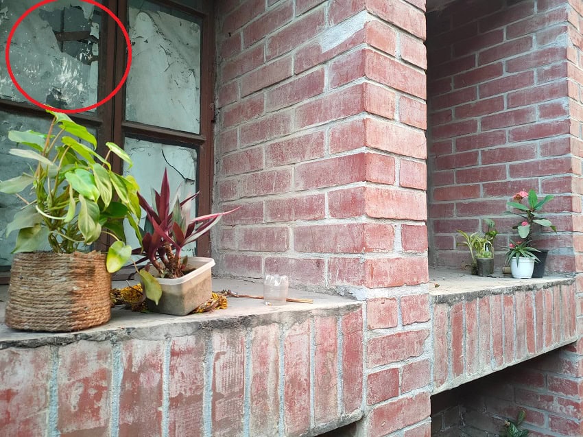 বাড়ির জানালা ও বারান্দায় পাতা ও গাছের পাত্র দেখা যাচ্ছে. Channel i News - চ্যানেল আই নিউজ