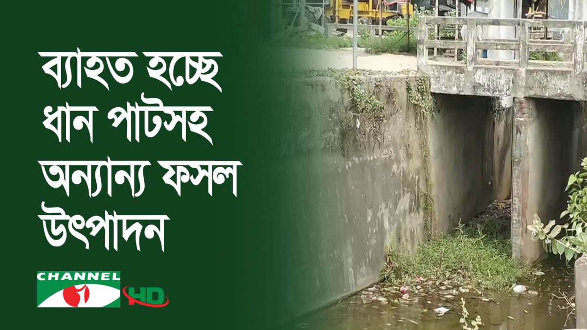 ঝিনাইদহে জিকে সেচ প্রকল্প কার্যকারিতা হারাচ্ছে