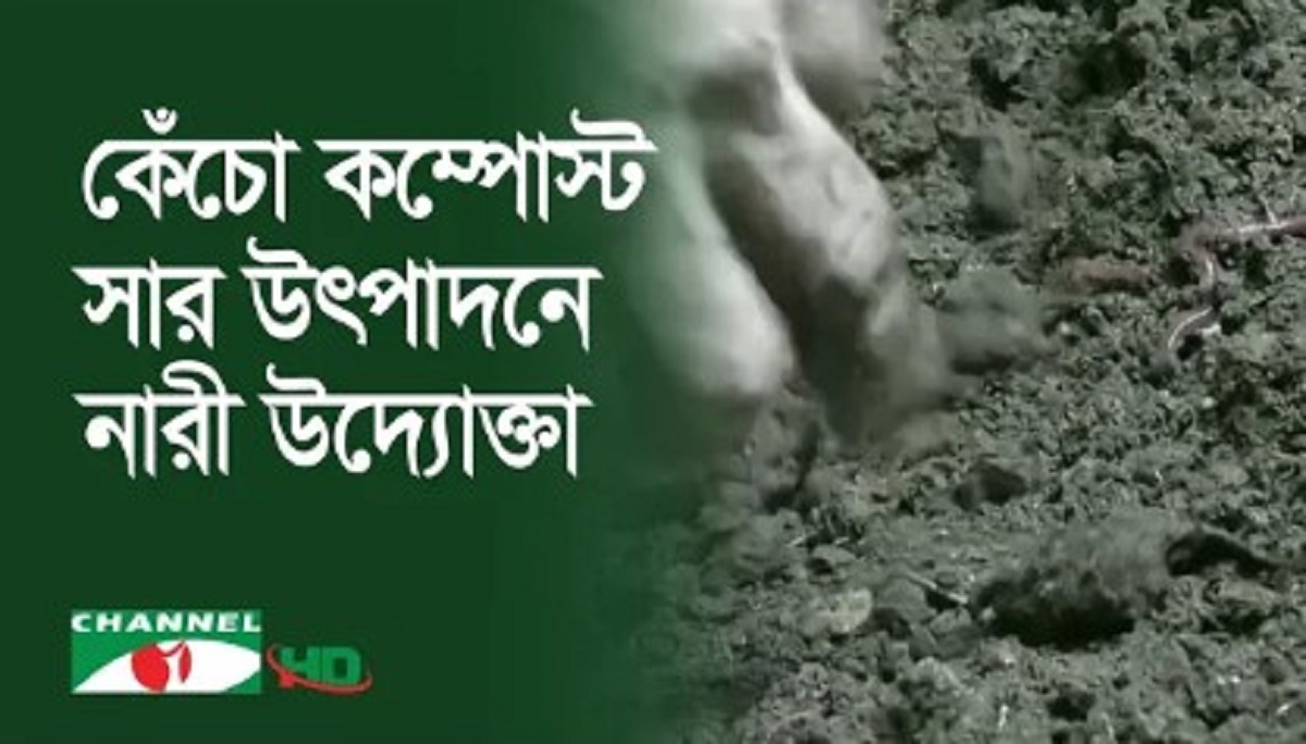 কেঁচো কম্পোস্ট সার উৎপাদনে নারী উদ্যোক্তার সাফল্য