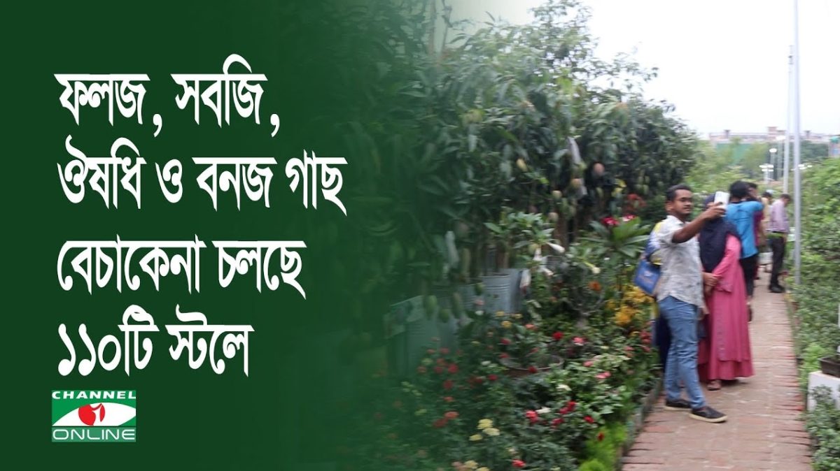 লাখ টাকা মূল্যের গাছ জাতীয় বৃক্ষ মেলায় 