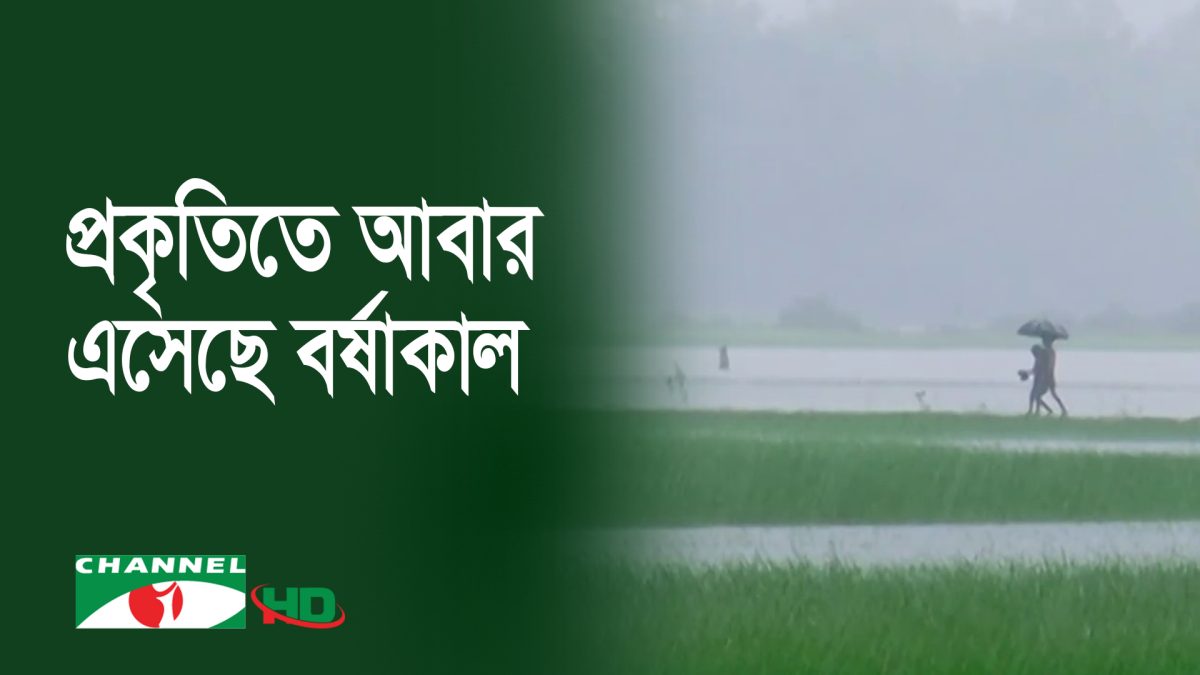 বছর ঘুরে বাংলার প্রকৃতিতে আবার এসেছে বর্ষাকাল