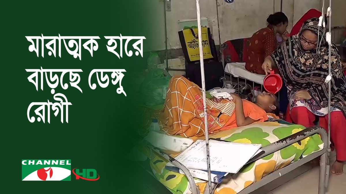 ডেঙ্গু আক্রান্ত রোগীর সংখ্যা দিনদিন বেড়ে চলেছে