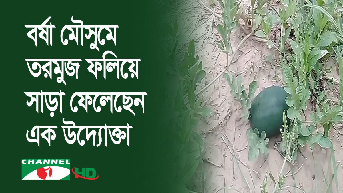 খাগড়াছড়িতে বর্ষা মৌসুমে তরমুজ ফলিয়ে এলাকায় সাড়া ফেলেছেন এক উদ্যোক্তা