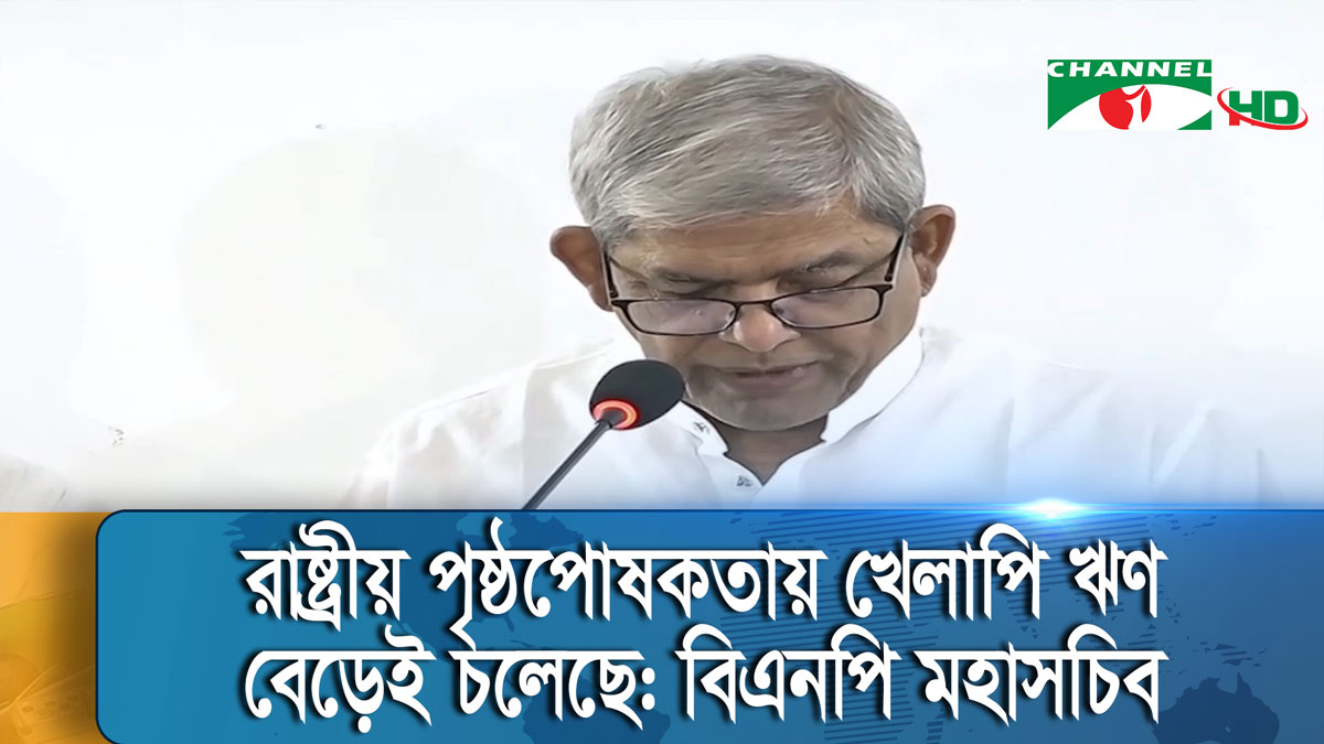 বাংলাদেশের অর্থনৈতিক সেক্টরে ভয়াবহ নৈরাজ্য চলছে: মির্জা ফখরুল
