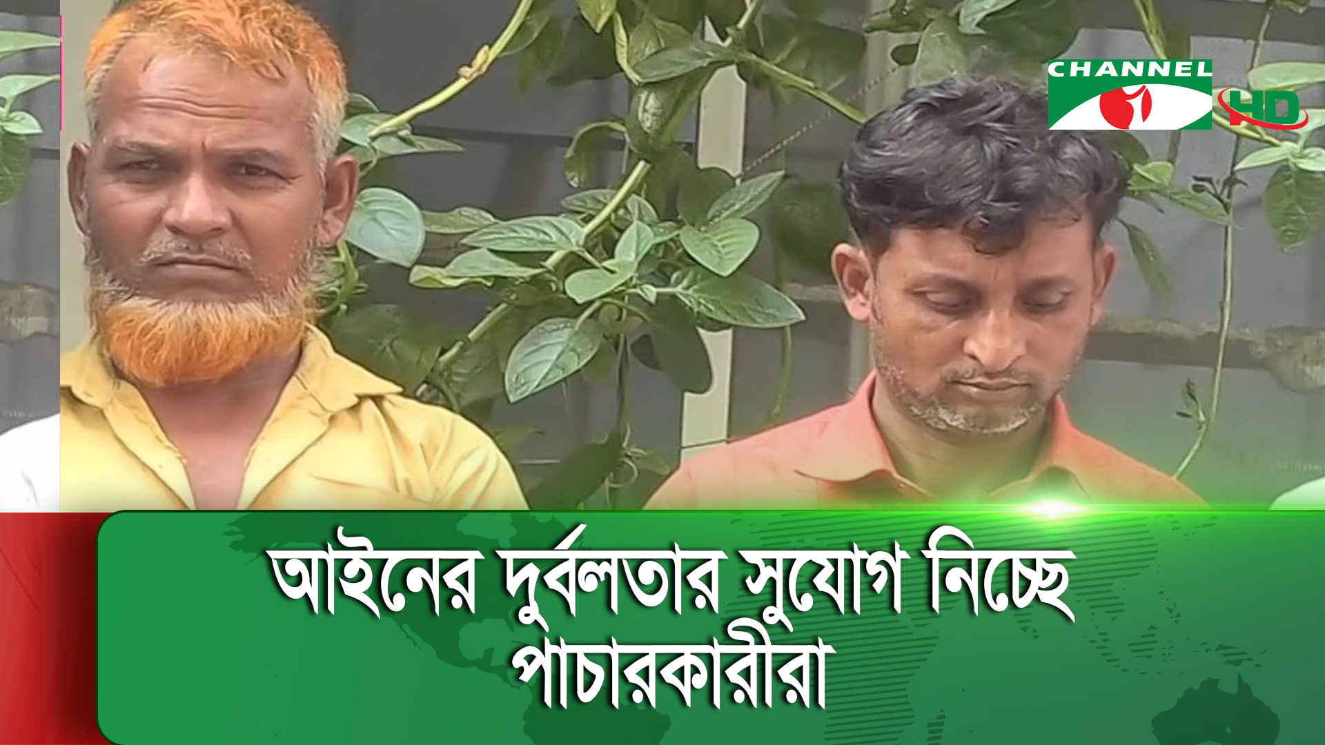 পার্বত্য চট্টগ্রামে বেড়েছে বন্যপ্রাণী পাচার
