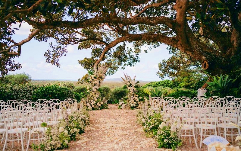 প্রতীকী ছবি।