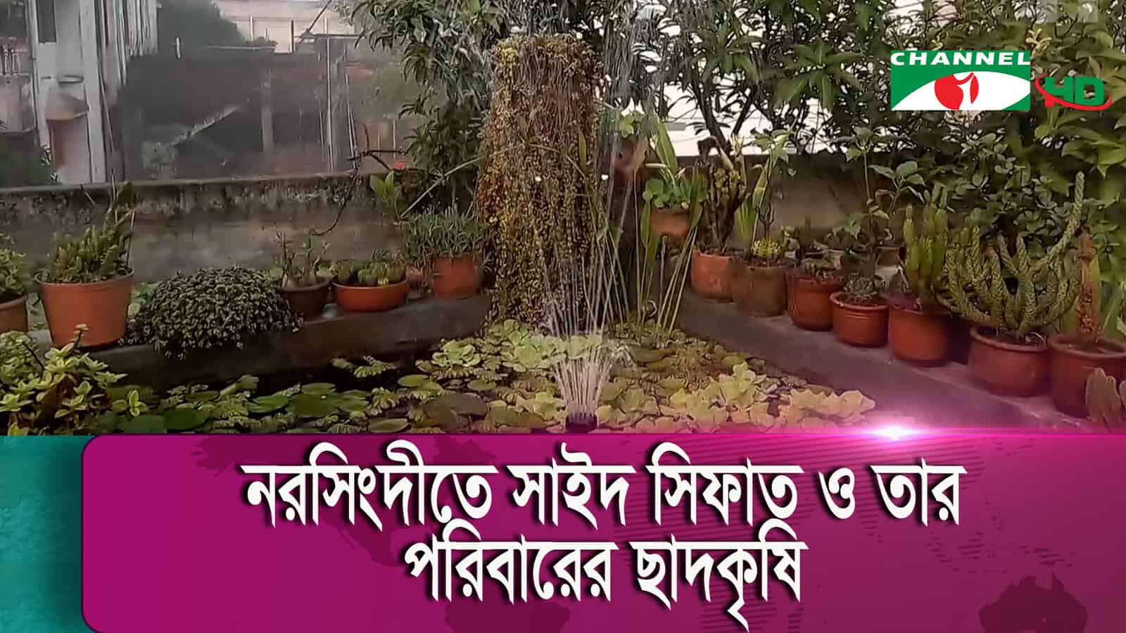 বাগানে জলসিঞ্চন ও সবজি চাষের দৃশ্য, পাত্রে বিভিন্ন ধরনের সবজি ও গাছ. Channel i News - চ্যানেল আই নিউজ