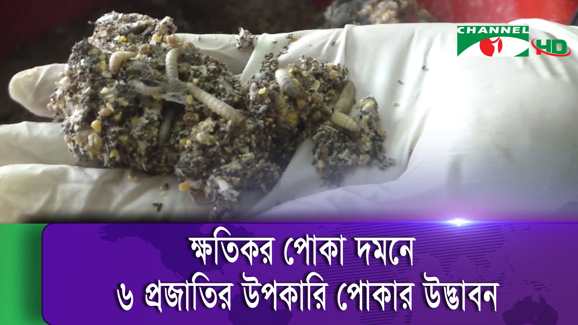 āĻā§āϞāύāĻž āĻŦāĻŋāĻļā§āĻŦāĻŦāĻŋāĻĻā§āϝāĻžāϞā§ā§ āĻā§āώāϤāĻŋāĻāϰ āĻĒā§āĻāĻž āĻĻāĻŽāύ⧠ā§Ŧ āĻĒā§āϰāĻāĻžāϤāĻŋāϰ āĻāĻĒāĻāĻžāϰāĻŋ āĻĒā§āĻāĻžāϰ āĻāĻĻā§āĻāĻžāĻŦāύ āĻā§āϞāύāĻž āĻŦāĻŋāĻļā§āĻŦāĻŦāĻŋāĻĻā§āϝāĻžāϞā§ā§ āĻā§āώāϤāĻŋāĻāϰ āĻĒā§āĻāĻž āĻĻāĻŽāύ⧠ā§Ŧ āĻĒā§āϰāĻāĻžāϤāĻŋāϰ āĻāĻĒāĻāĻžāϰāĻŋ āĻĒā§āĻāĻžāϰ āĻāĻĻā§āĻāĻžāĻŦāύ