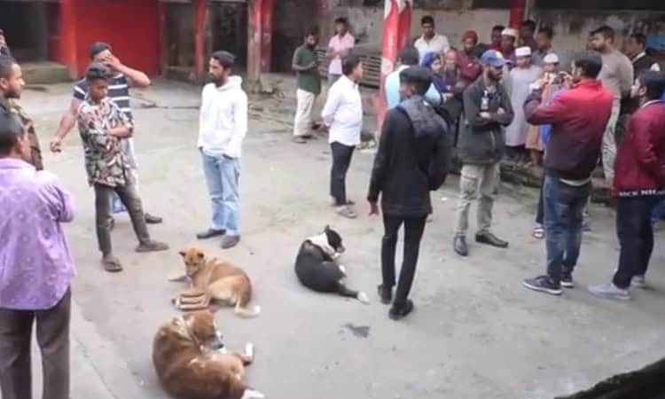 স্থানীয়রা কুকুর জবাইয়ের ঘটনায় ক্ষোভ প্রকাশ করছে. Channel i News - চ্যানেল আই নিউজ