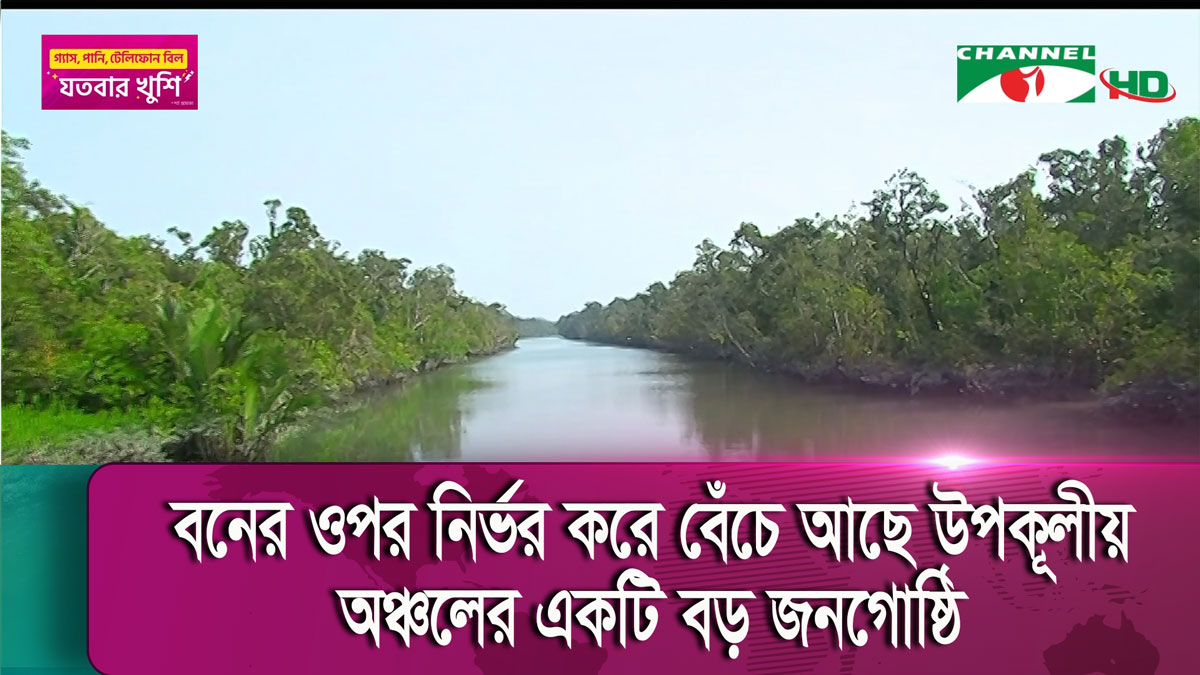 প্রাকৃতিক দুর্যোগসহ বিভিন্ন কারনে ক্ষতিগ্রস্ত সুন্দরবনের জীববৈচিত্র্য
