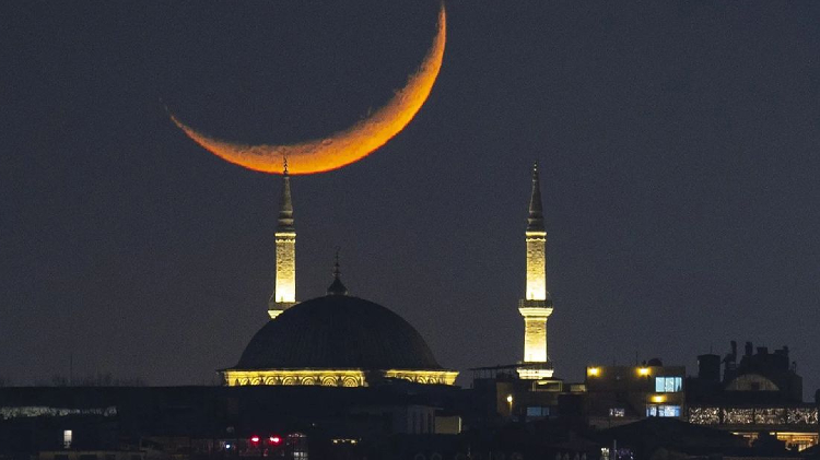 সংগৃহীত