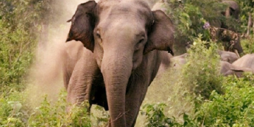 প্রতীকী ছবি