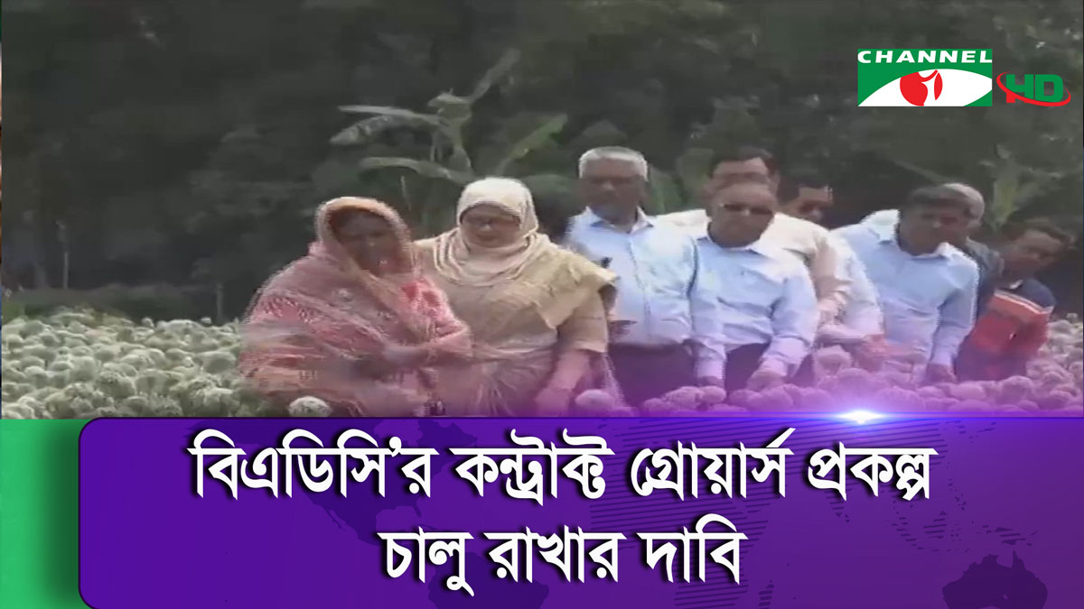 বিদেশ থেকে পেঁয়াজ বীজ আমদানির বিপক্ষে ফরিদপুরের চাষিরা