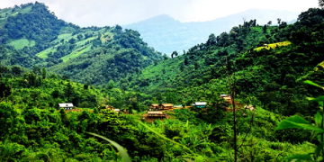 প্রতীকী ছবি