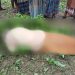 পাটক্ষেতে হনুমান তাড়াতে গিয়ে বৃদ্ধের মৃত্যু, গ্রামে শোকের ছায়া. Channel i News - চ্যানেল আই নিউজ
