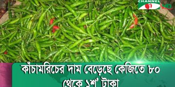 বেড়েছে সব ধরণের মসলার দাম