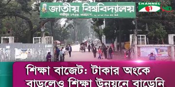 শিক্ষা বাজেট: টাকার অংকে বাড়লেও শিক্ষা উন্নয়নে বাড়েনি