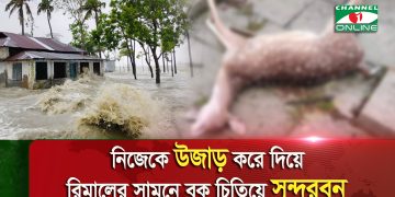 সুন্দরবনে সিডর ও আইলার পর জলাবদ্ধতা ও ক্ষয়ক্ষতি. Channel i News - চ্যানেল আই নিউজ