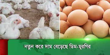 নিত্যপণ্যের দাম বাড়তি থাকায় বিপাকে কম আয়ের মানুষ