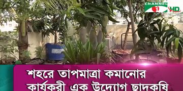 শহরে তাপমাত্রা কমানোর কার্যকরী এক উদ্যোগ ছাদকৃষি