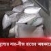 বিনা অনুমতিতে সার-চালান পাচার, গুদামে ভরা সারের ব্যাগ. Channel i News - চ্যানেল আই নিউজ