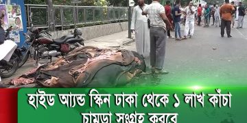 ঢাকা শহরে গরুর চামড়া বিক্রির জন্য প্রস্তুত করা হচ্ছে. Channel i News - চ্যানেল আই নিউজ