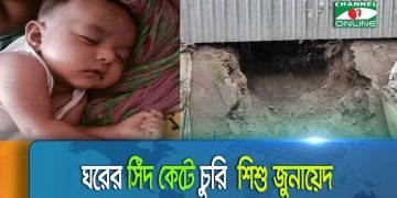 ঘুমন্ত মায়ের কোল থেকে শিশু চুরি